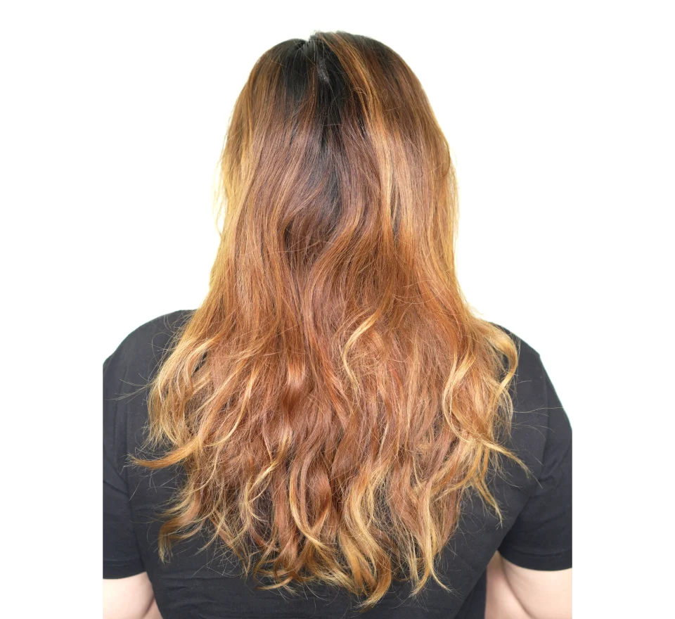 DreamCoat Color Treatment 2