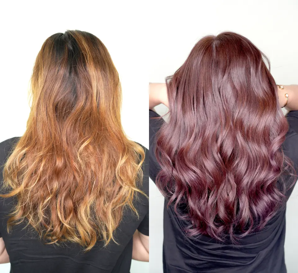 DreamCoat Color Treatment 1